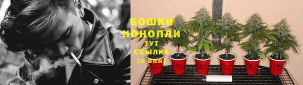 трава Ладушкин