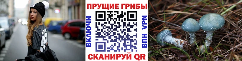 Псилоцибиновые грибы прущие грибы  где продают наркотики  Лермонтов 